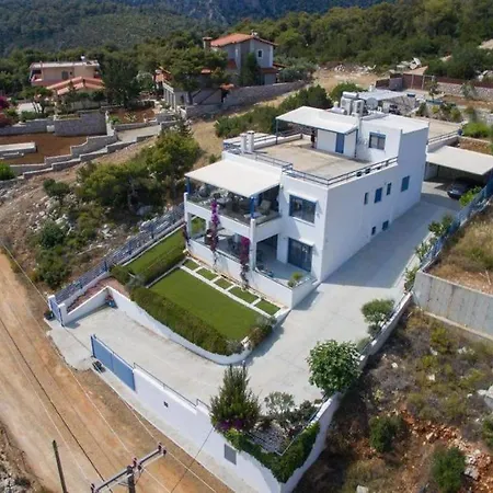 White Blue Luxury 1 *